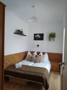 Posteľ alebo postele v izbe v ubytovaní AnitApartman