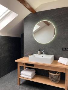 bagno con lavandino e specchio di Domaine Jacqueline Père & Filles ad Aix-les-Bains