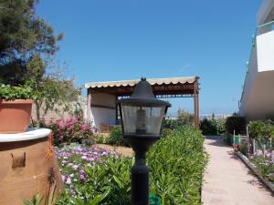 A garden outside Marina Villa