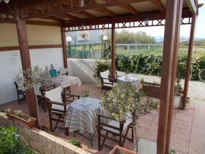 A garden outside Marina Villa