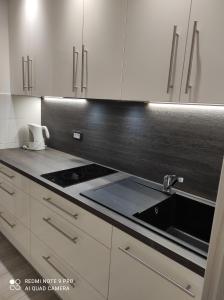 Η κουζίνα ή μικρή κουζίνα στο Apartment Lana
