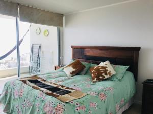 a bedroom with a green bed with pillows on it at La Choza VIP Turquesa en La Serena, frente al mar in Coquimbo +62 photos