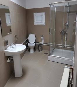 een badkamer met een toilet, een douche en een wastafel bij Apartmani Jasa in Jagodina