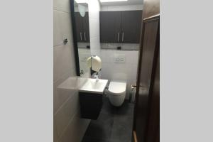 Koupelna v ubytování Ferienwohnung Appartement Am Schilf XL
