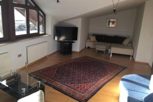TV a/nebo společenská místnost v ubytování Ferienwohnung Appartement Am Schilf XL
