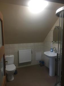 a bathroom with a toilet and a sink at Agroturystyka pod świerkami in Giebułtów