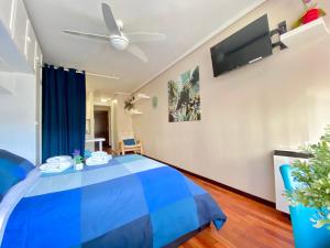 1 dormitorio con 1 cama azul y TV de pantalla plana en FLORIDA 125 en Vigo