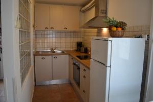 a kitchen with a white refrigerator and a sink at Casablanca-Brgulje in Brgulje