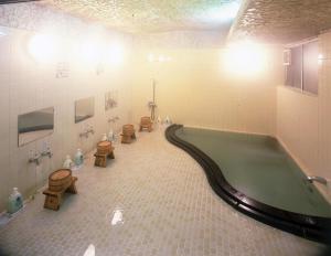Fotografie z fotogalerie ubytování Seikiro Ryokan Historical Museum Hotel v destinaci Mijazu