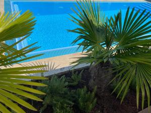 two palm trees in front of a swimming pool at AVALON ideal gelegen zwischen Europapark und Rulantica in Rust