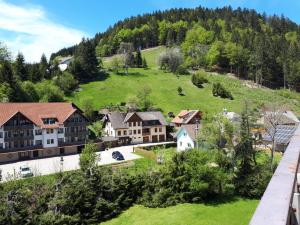 a village in the mountains with a green hill at Haus Enere Au FeWo Antonia und FeWo Milan in Todtmoos
