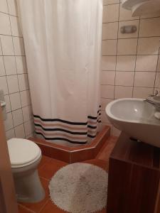 Koupelna v ubytování Agave Apartman