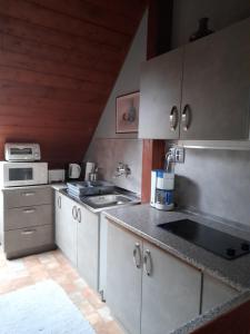 Köök või kööginurk majutusasutuses Agave Apartman