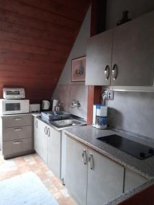 Kuchyň nebo kuchyňský kout v ubytování Agave Apartman