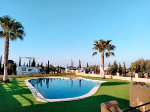 a swimming pool with palm trees in a yard at Espacio Finca Alegría - Rural Houses & Rooms in Cartagena