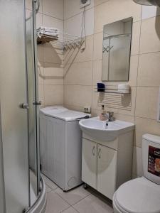 a bathroom with a toilet and a sink and a shower at Апартаменты с панорамным видом на город in Zaporozhye