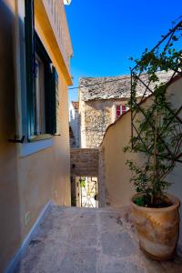 Fotografia z galérie ubytovania Villa Kalalarga in the center of the town with free parking v destinácii Makarska