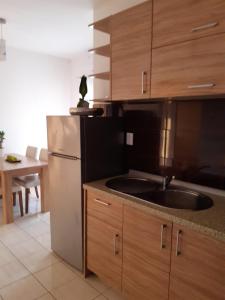 eine Küche mit einer Spüle und einem Kühlschrank in der Unterkunft Apartment Luka in Bibinje