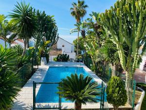 Bazén v ubytování Apartments with tropical garden and sea water pool nebo v jeho okolí