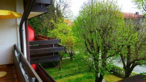 Zahrada ubytování Appartment-Hotel-Hölzl