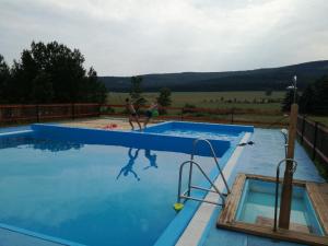 Bazén v ubytování Apartmán Orlické Záhoří nebo v jeho okolí