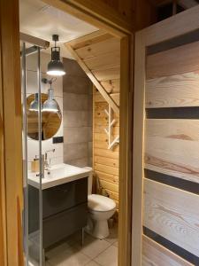 a bathroom with a toilet and a sink at Kamień na Kaszubach in Kamień