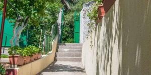 Fotografie z fotogalerie ubytování Apartment in Mali Losinj 36605 v destinaci Mali Lošinj