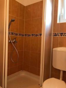 y baño con ducha y aseo. en Apartments in Hvar/Insel Hvar 33535 en Hvar