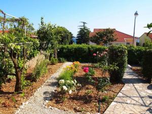 Fotografie z fotogalerie ubytování Apartments in Orebic 6930 v destinaci Orebić