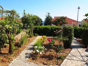 Fotografie z fotogalerie ubytování Apartments in Orebic 6930 v destinaci Orebić