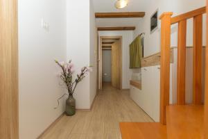 Zdjęcie z galerii obiektu Spacious holiday home Guran w mieście Vodnjan