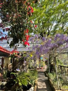 仁愛郷にあるShan Ju Lake Villaの紫・赤の花と木々が植えられた庭園