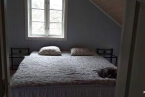 ein Schlafzimmer mit einem Bett, auf dem eine Katze liegt in der Unterkunft Nyhuset på Skogan in Valsøybotn