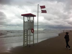 Příroda nedaleko hotelu