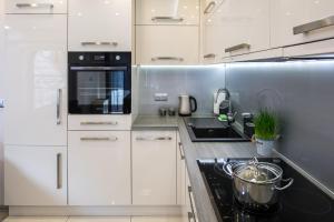 Kuchyňa alebo kuchynka v ubytovaní Apartament PAULA Zakopane