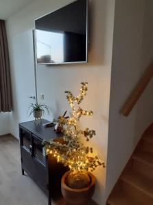 a small christmas tree with lights on a table at Huisje aan zee in Middelkerke