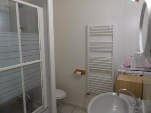 a bathroom with a shower and a sink and a toilet at le Chaumois in Saint-Boil