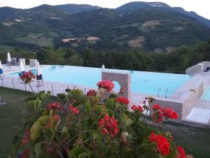 - une vue sur la piscine avec des fleurs au premier plan dans l'établissement La Locanda del Collaccio, à Preci