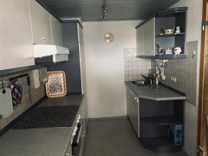 una pequeña cocina con armarios verdes y fregadero en Gästehaus Lang, en Wunsiedel
