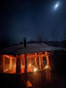 Fotografie z fotogalerie ubytování Waldnest Odenwald - Waldhauszimmer v destinaci Wald-Michelbach