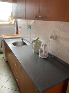 a kitchen with a sink and a counter top at Ubytování Na špejcharu, Želevčice in Slaný