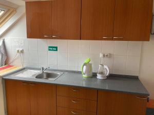 a kitchen with a sink and a counter top at Ubytování Na špejcharu, Želevčice in Slaný