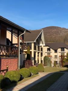 una grande casa con un paesaggio davanti di Августин a Solochyn