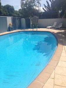 a swimming pool with a dog swimming in it at Darwin Poinciana Inn in Darwin