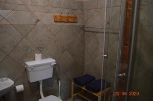 La salle de bains est pourvue d'une douche, de toilettes et d'un lavabo. dans l'établissement DE OUDE STOOR, à Koster