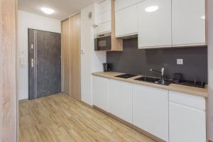 Kuchnia lub aneks kuchenny w obiekcie K2 Apartamenty
