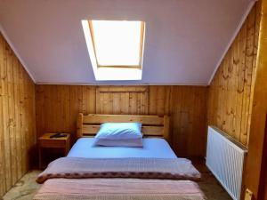 a bedroom with a bed and a skylight at Cabana Ovidiu in Rau Sadului