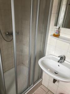 a bathroom with a shower and a sink at Jurahof Wuermser in Denkendorf