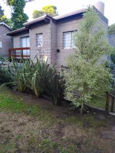 una casa con plantas delante de ella en Gorriones Libres en Villa Gesell