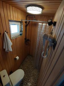 a small bathroom with a toilet and a window at Brīvdienu namiņš ar pirtiņu in Kuiviži